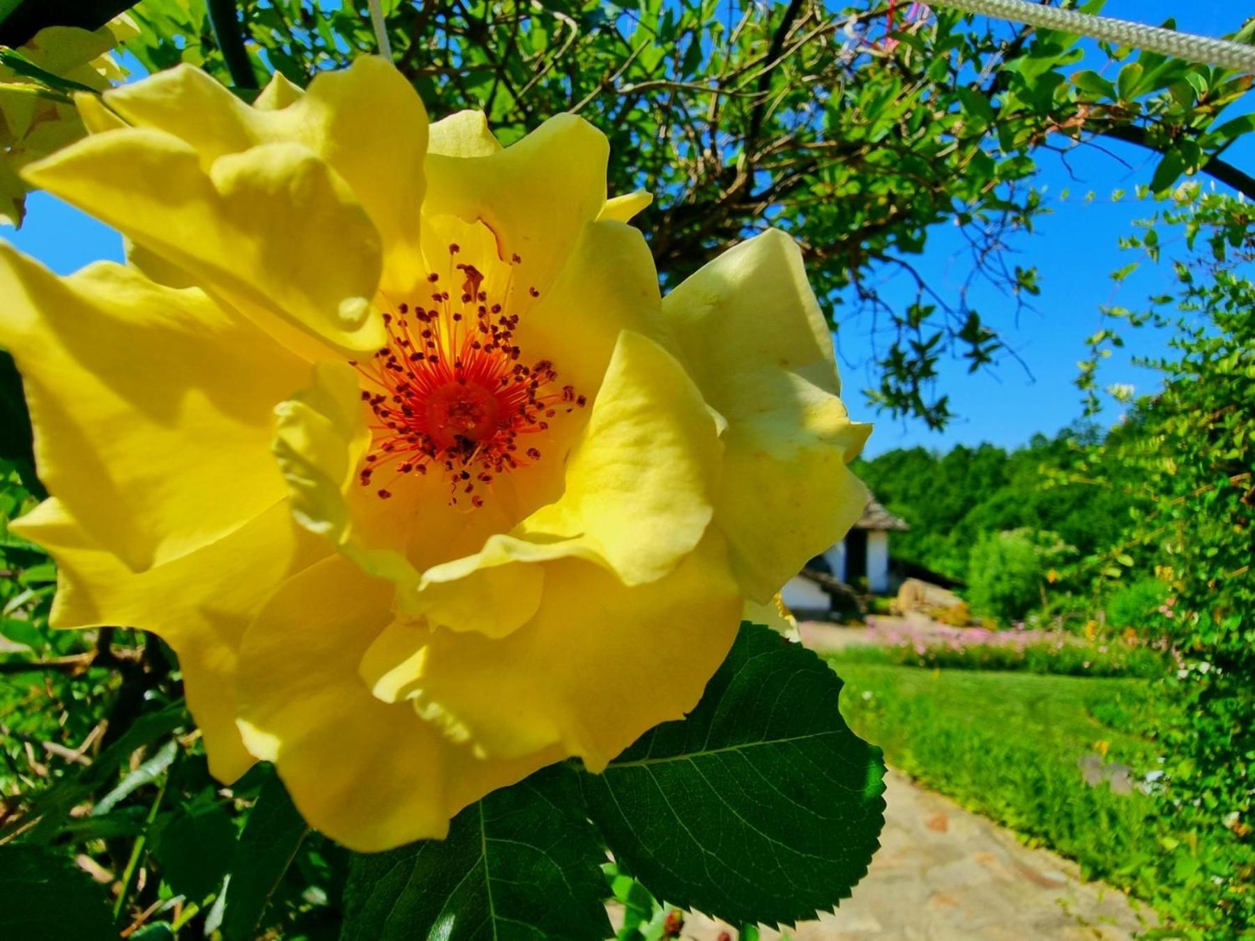 Agriturismo Hidden Paradise Villa ตริยาฟนา ภายนอก รูปภาพ
