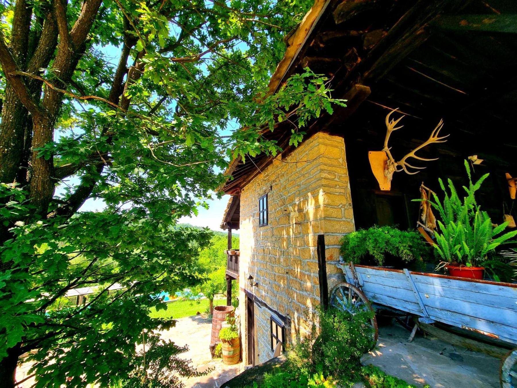 Agriturismo Hidden Paradise Villa ตริยาฟนา ภายนอก รูปภาพ